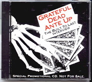 Grateful Dead - Ante Up - The Built To Last Interview